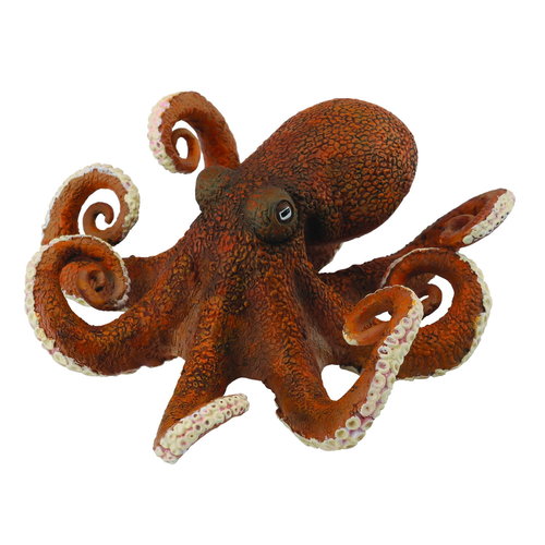 Collecta Collecta Octopus