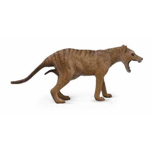 Collecta Thylacine (Tasmanian Tiger)-Female Collecta Thylacine (Tasmanian Tiger)-Female
