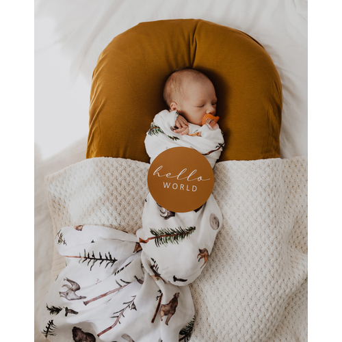 Snuggle Hunny Alpha & Bronze Reversible Milestone Cards Snuggle Hunny Alpha & Bronze Reversible Milestone Cards