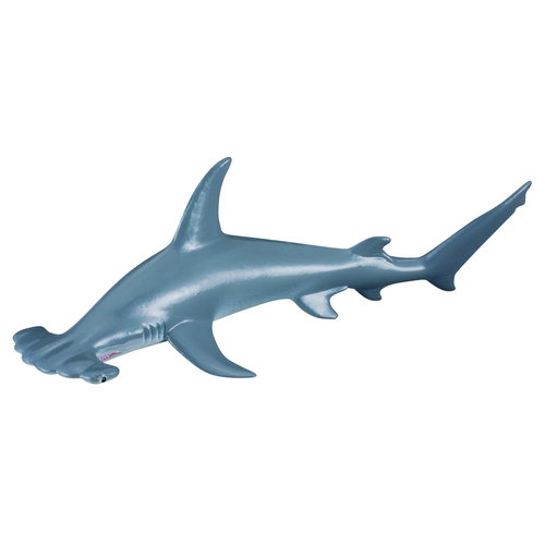 Collecta Collecta Scalloped Hammerhead Shark