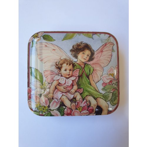 Flower Fairies Pocket Tin 2 Flower Fairies Pocket Tin 2