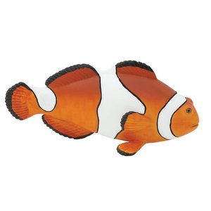 Clown Fish Incredible Creatures