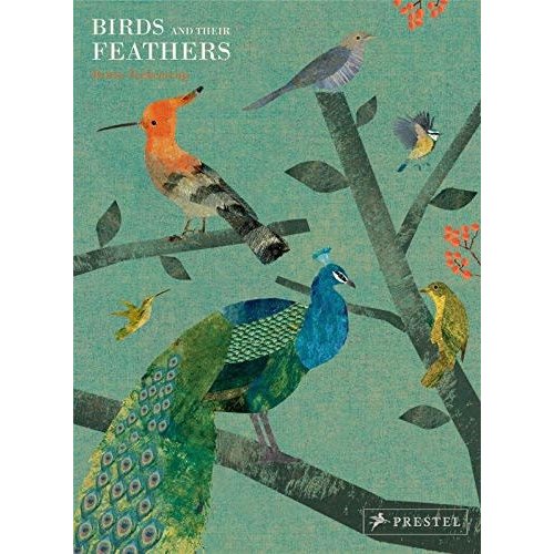 Bird and Their Feathers Bird and Their Feathers