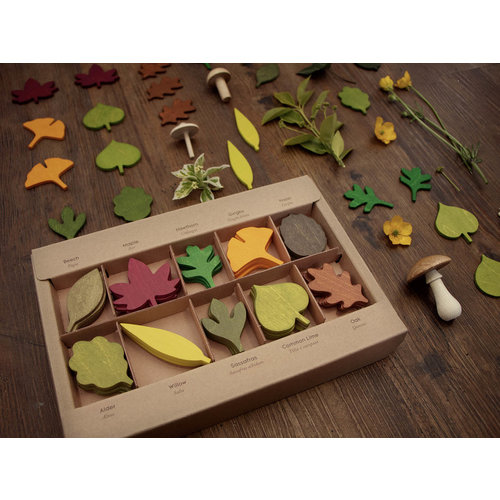 Woodland Leaves Woodland Leaves