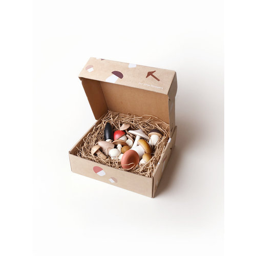 Forest Mushrooms In A Box Forest Mushrooms In A Box