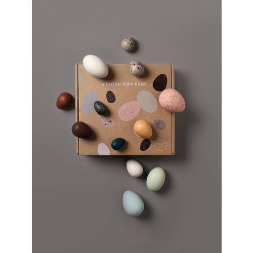Moon Picnic A Dozen Bird Eggs In A Box Moon Picnic A Dozen Bird Eggs In A Box