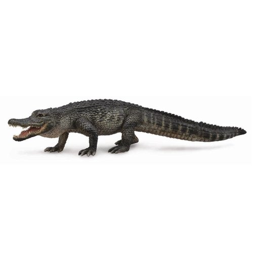 Collecta Collecta American Alligator Collecta Collecta American Alligator