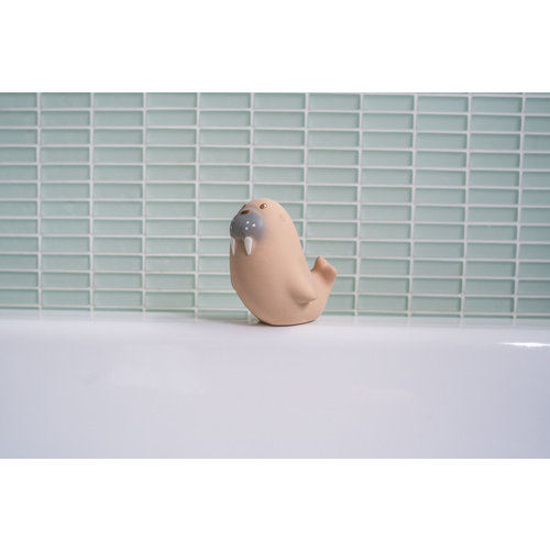 Rubber Walrus Arctic Animal Rubber Walrus Arctic Animal