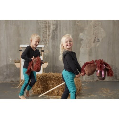 Brown Hobby Horse Brown Hobby Horse