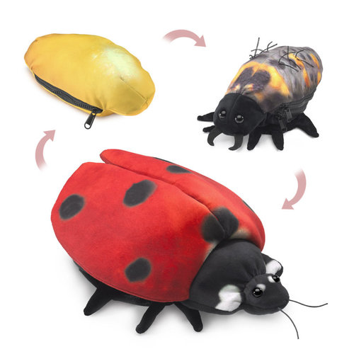 Ladybug Life Cycle Puppet Ladybug Life Cycle Puppet