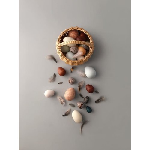 A Dozen Bird Eggs In A Basket A Dozen Bird Eggs In A Basket