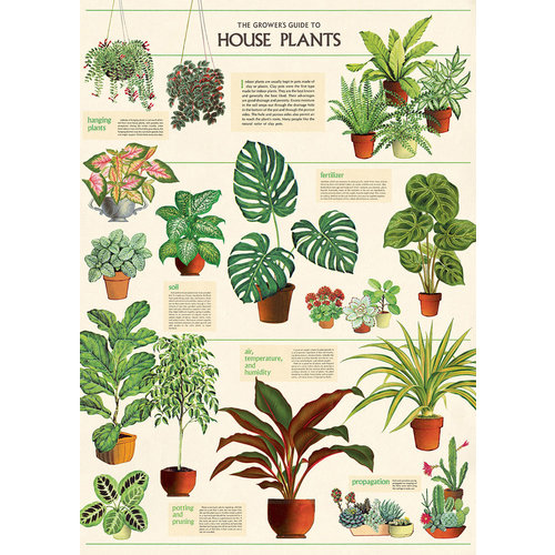 Cavallini and Co - House Plants Poster Cavallini and Co - House Plants Poster