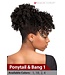 Magic Up Ponytail Bang