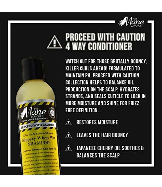 The Mane Choice Mane Choice Slippery When Wet Shampoo (8oz)
