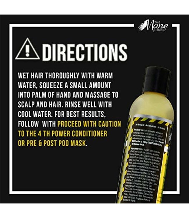 The Mane Choice Mane Choice Slippery When Wet Shampoo (8oz)