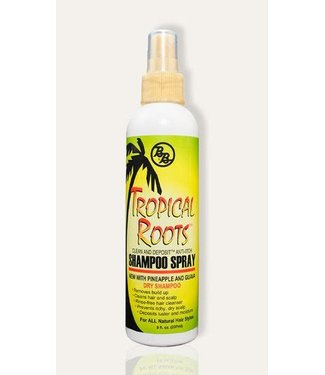 B & B Tropical Roots Dry Shampoo Spray 8oz