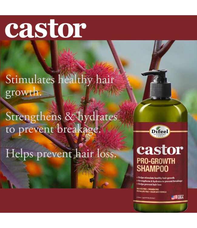 Difeel Castor Pro-Growth Shampoo 12oz