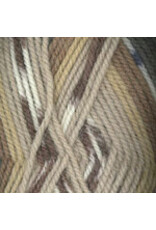 Plymouth Yarn Plymouth: Encore Worsted Colorspun (Self Stripe),