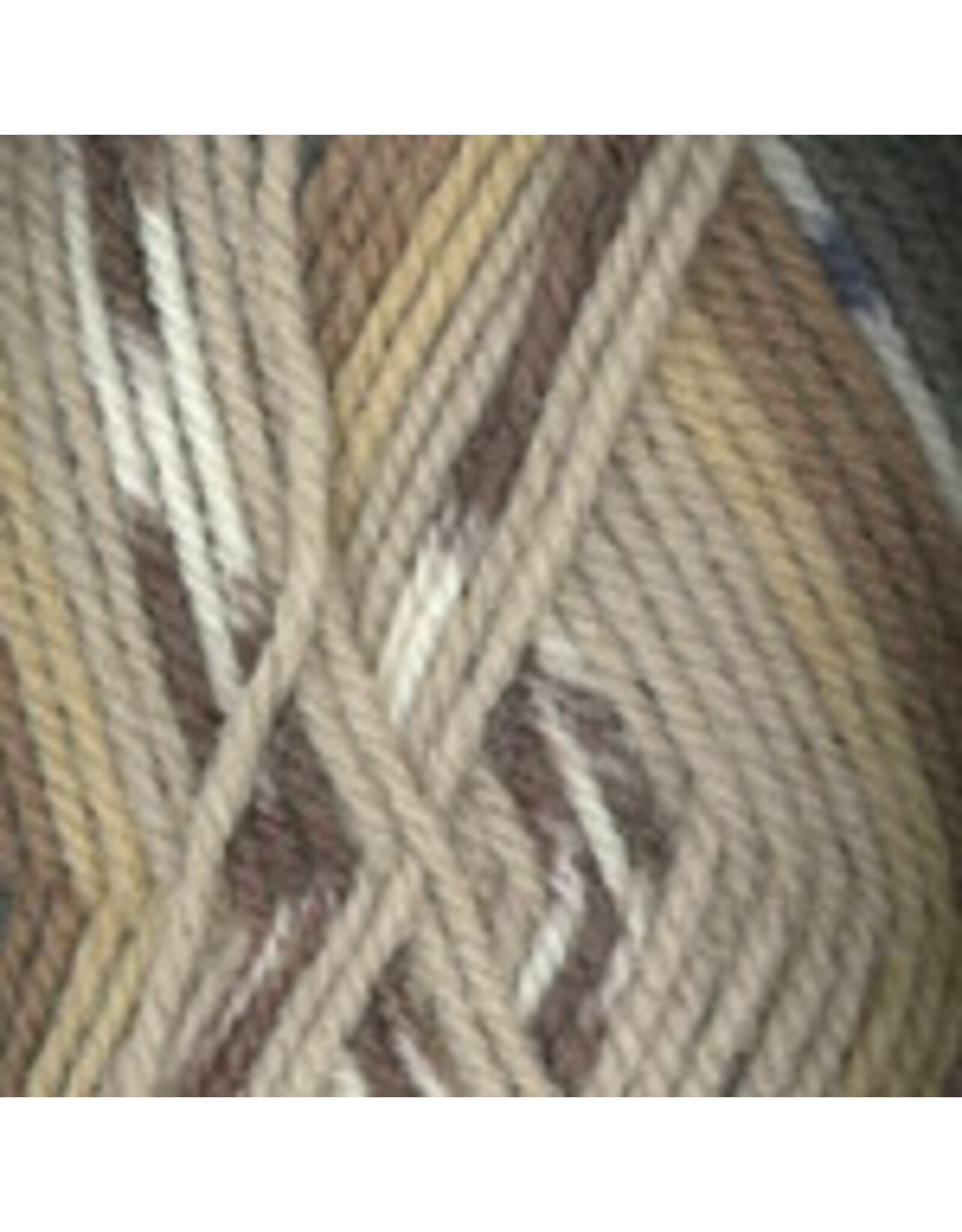 Plymouth Yarn Plymouth: Encore Worsted Colorspun (Self Stripe),