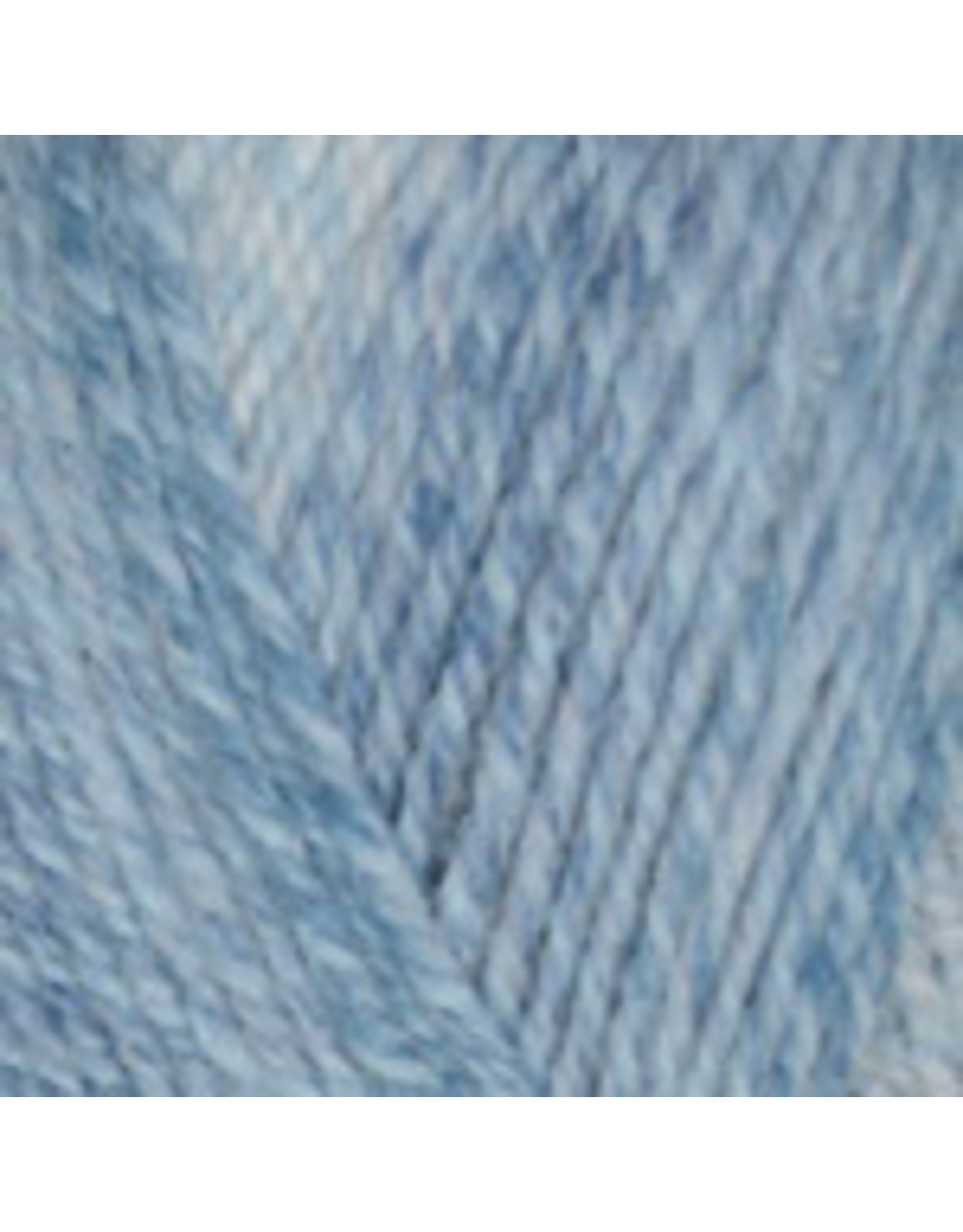 Plymouth Yarn Plymouth: Encore Worsted Colorspun (Drift & Shade),