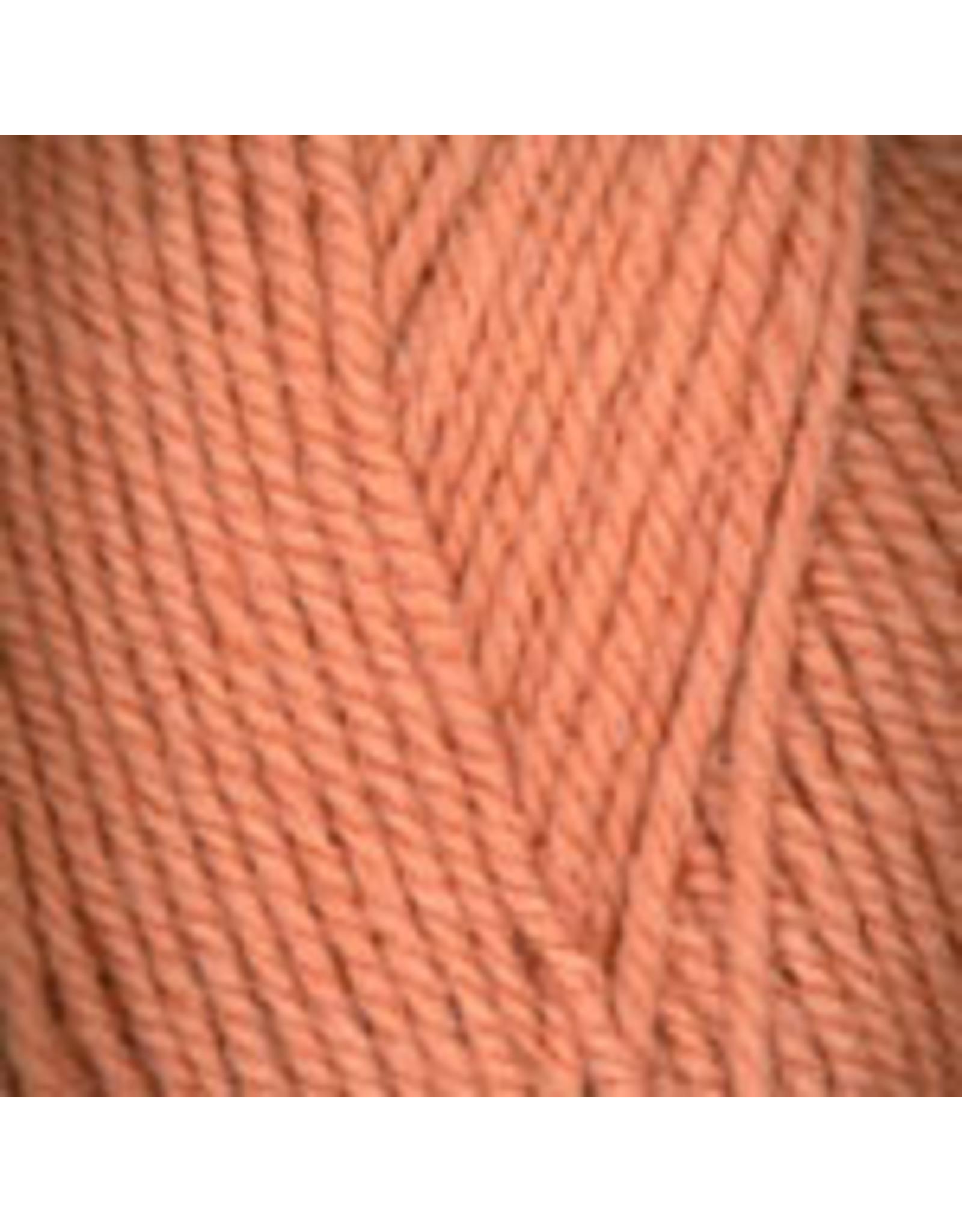 Plymouth Yarn Plymouth: Encore Worsted, (Red/Orange/Brown)