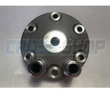 TM Moto HEAD 250 MX/E M.14-> CYLINDER