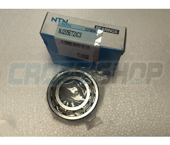 BUSH CRANKSHAFT 85/100->18  NJ205ET2XC3