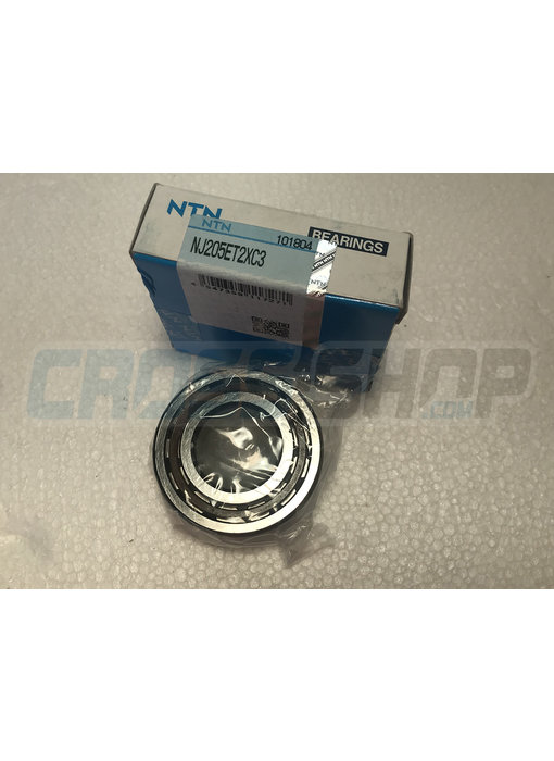 BUSH CRANKSHAFT 85/100->18  NJ205ET2XC3