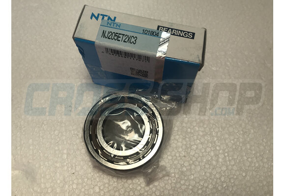 BUSH CRANKSHAFT 85/100->18 NJ205ET2XC3