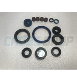 TM Moto OILSEALS KIT 4S 250Fi