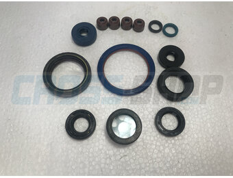 OILSEALS KIT 4S 250Fi