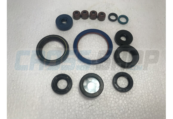 OILSEALS KIT 4S 250Fi