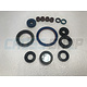 OILSEALS KIT 4S 250Fi