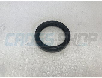 OIL SEAL TRANSMITION 250