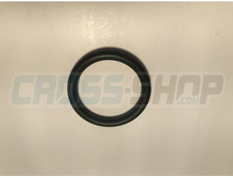 O-RING TANK CAP F.S. 15->