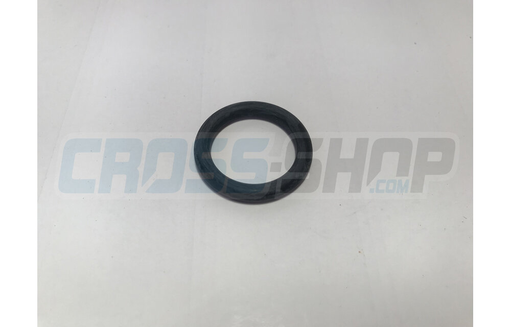 O-RING LINKAGE & SWINGARM