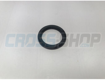 O-RING LINKAGE & SWINGARM