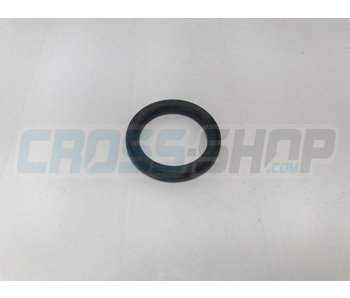 O-RING LINKAGE & SWINGARM