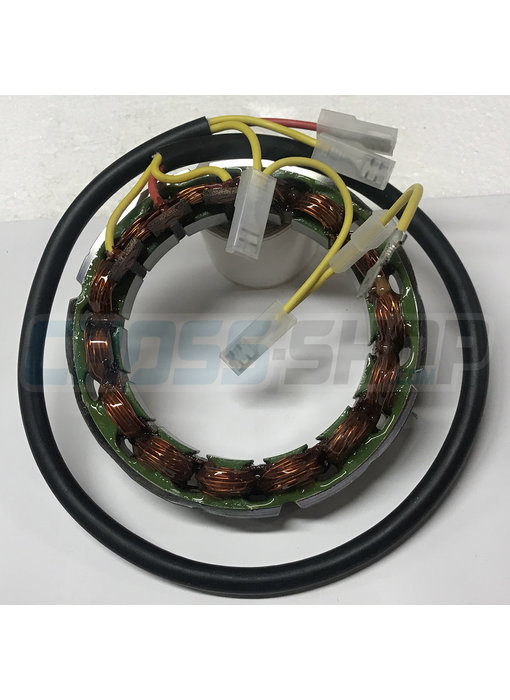 TM Racing STATOR DUCATI ALTERNATOR