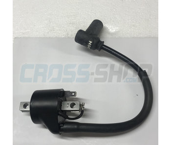 COIL KOKUSAN 2 STROKE IG7112