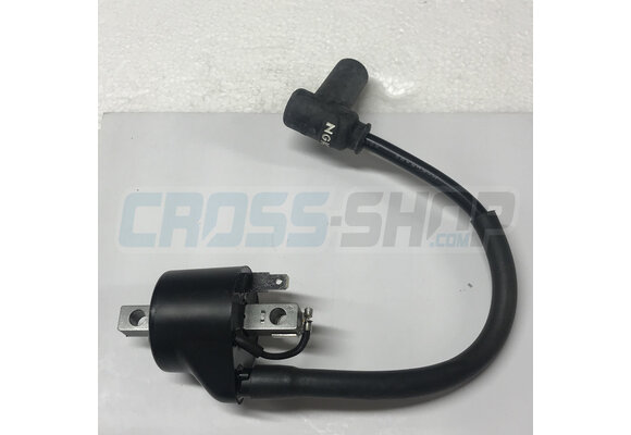 COIL KOKUSAN 2 STROKE IG7112