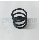 MOLLA X CENTRIFUGA VALV.SC.06