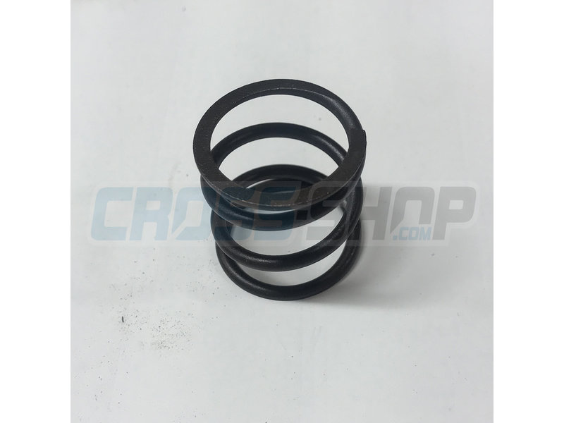 MOLLA X CENTRIFUGA VALV.SC.06