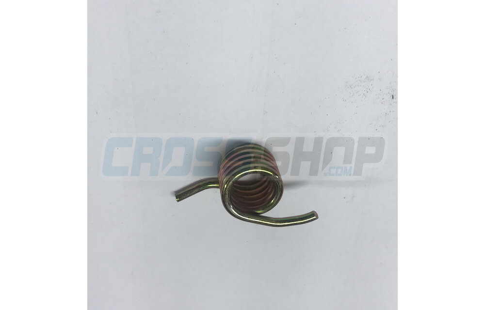 SPRING FOOT PEG PIN 08/->