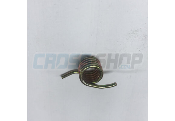 SPRING FOOT PEG PIN 08/->