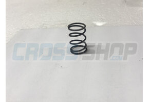 SPRING EXHAUST VALVE 125 cc