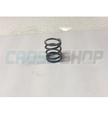 TM Moto SPRING 250 cc