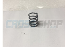 SPRING 250 cc