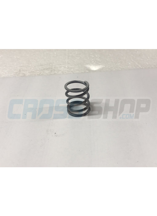 TM Moto SPRING 250 cc