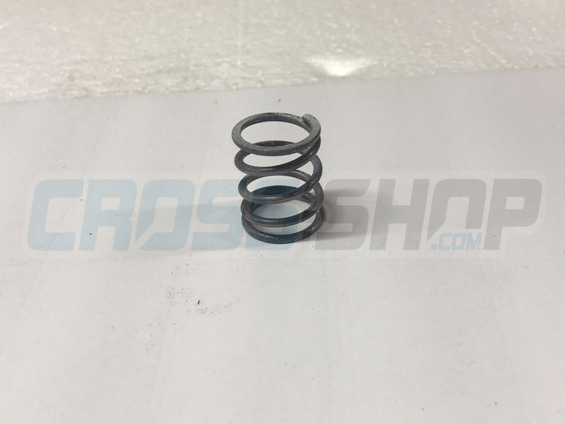 TM Moto SPRING 250 cc